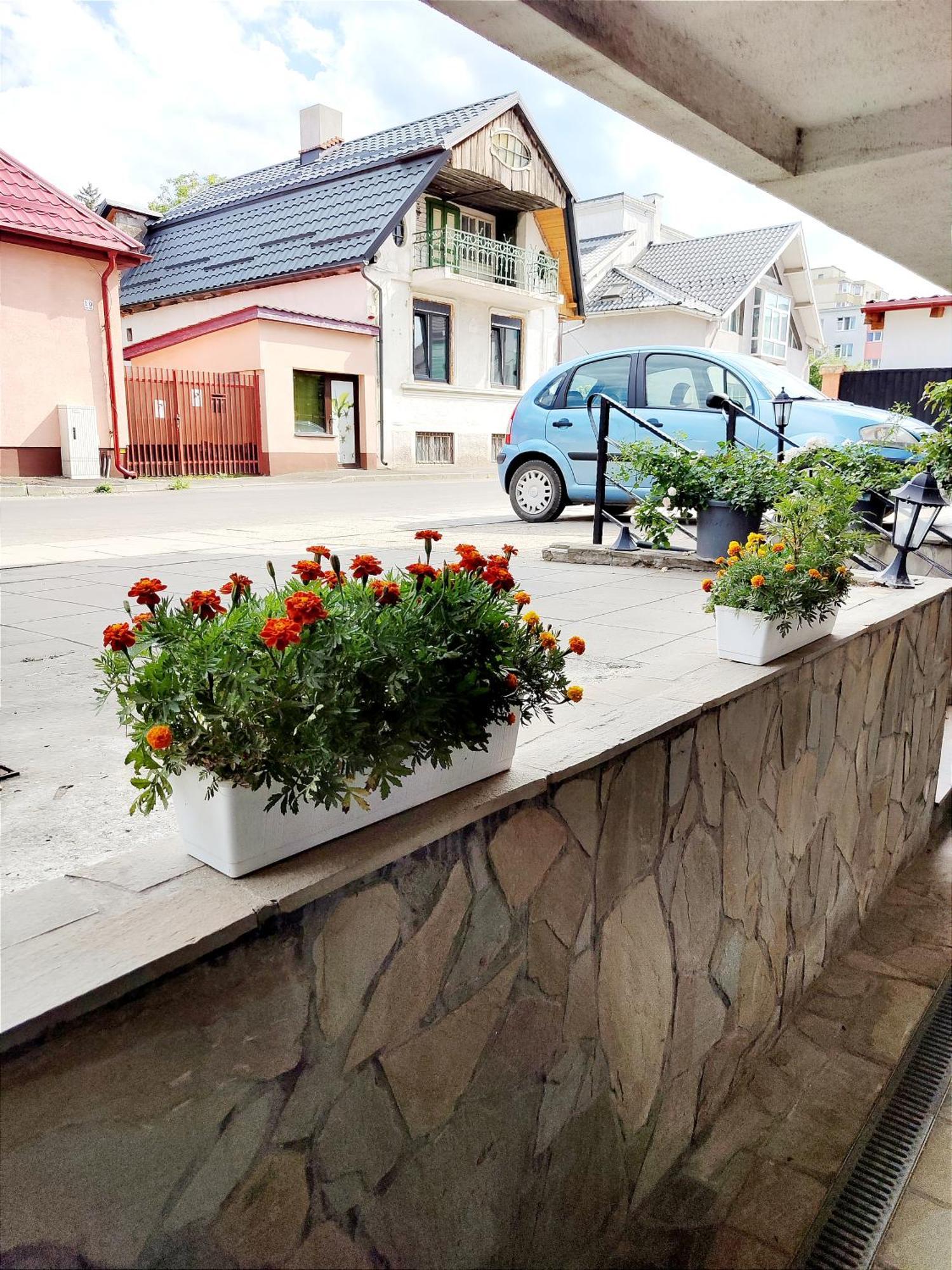 Studioul De Vis Apartment Brașov Exterior foto