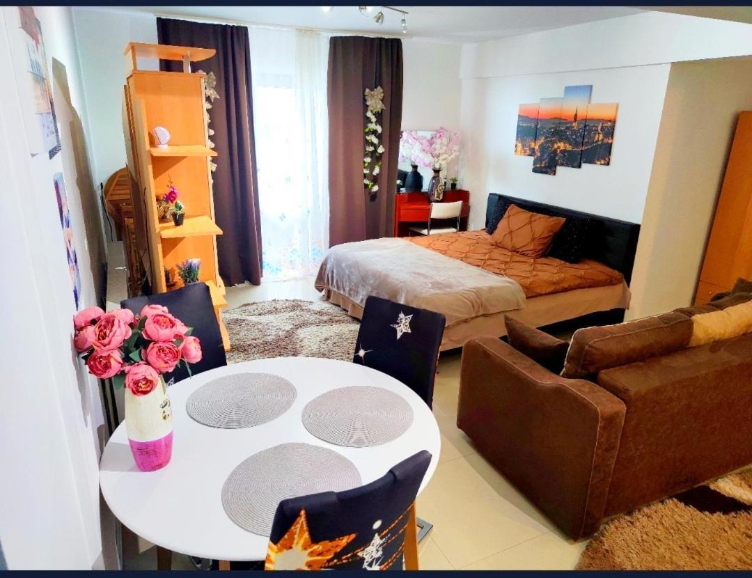 Studioul De Vis Apartment Brașov Exterior foto